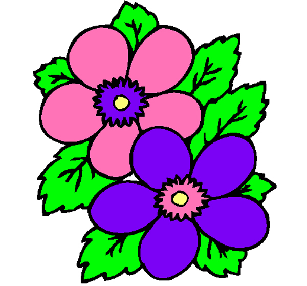 Desenhos De Flores 38 Ideias Para Imprimir E Colorir Artesanato