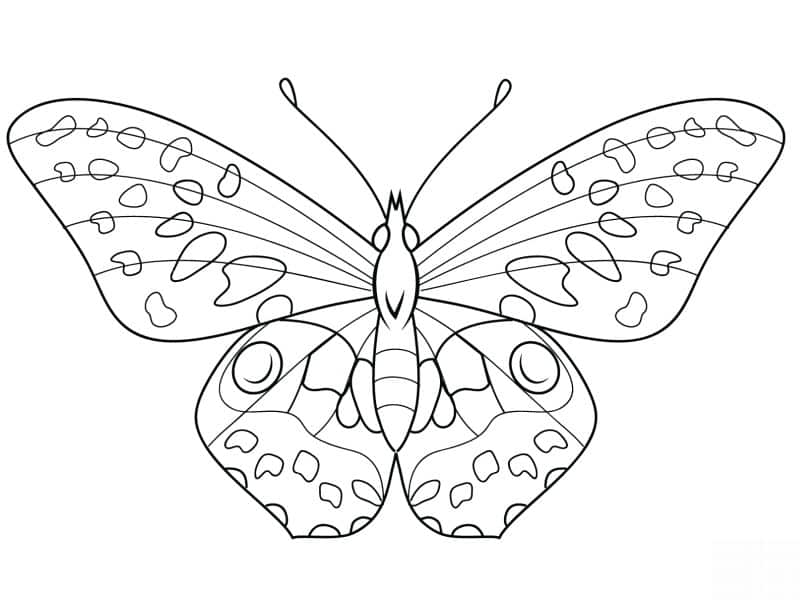 Desenho online para colorir: borboleta