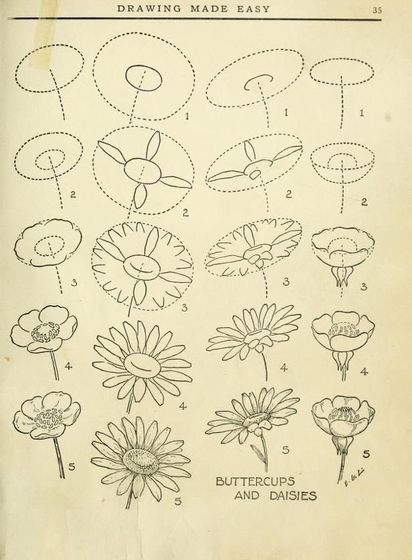 COMO DESENHAR UMA FLOR FÁCIL  DESENHANDO E PINTANDO PASSO A PASSO 