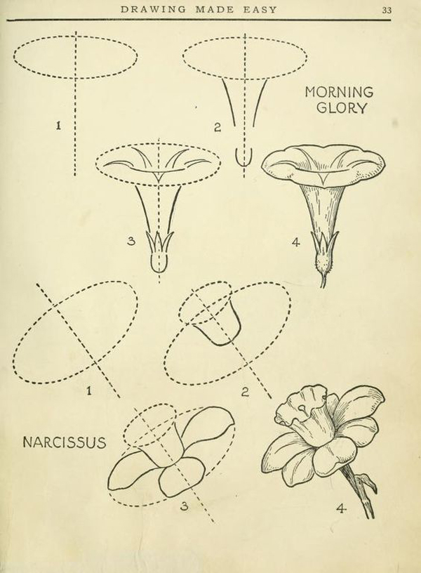 Desenhos de Flores: 38 Ideias para Imprimir e Colorir - Artesanato Passo a  Passo!