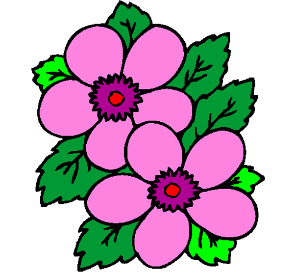 Desenho de Flor simples pintado e colorido por Anacfr o dia 16 de Julho do  2015