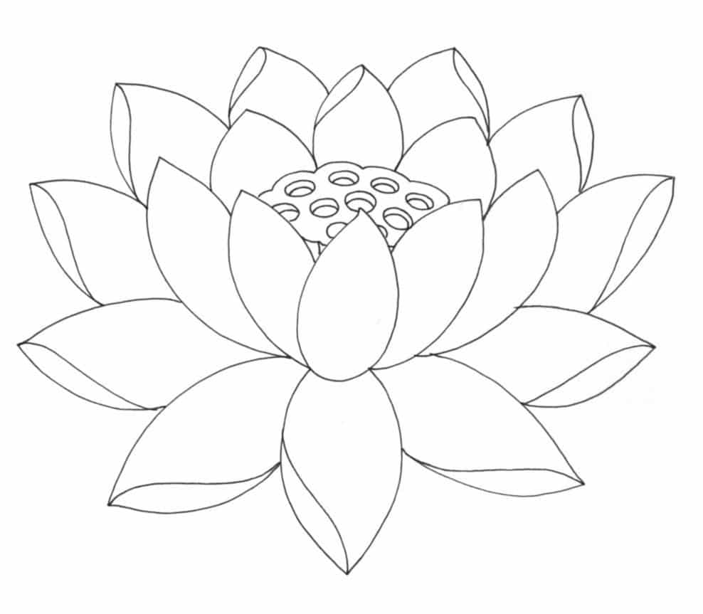 desenho de arte de linha de flor rosa ilustração de desenho de página para  colorir com vaso de flor 9004533 Vetor no Vecteezy