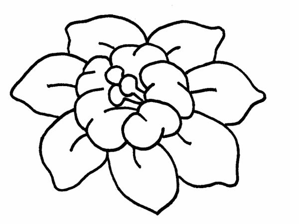 Desenhos de Flores: 38 Ideias para Imprimir e Colorir - Artesanato Passo a  Passo!