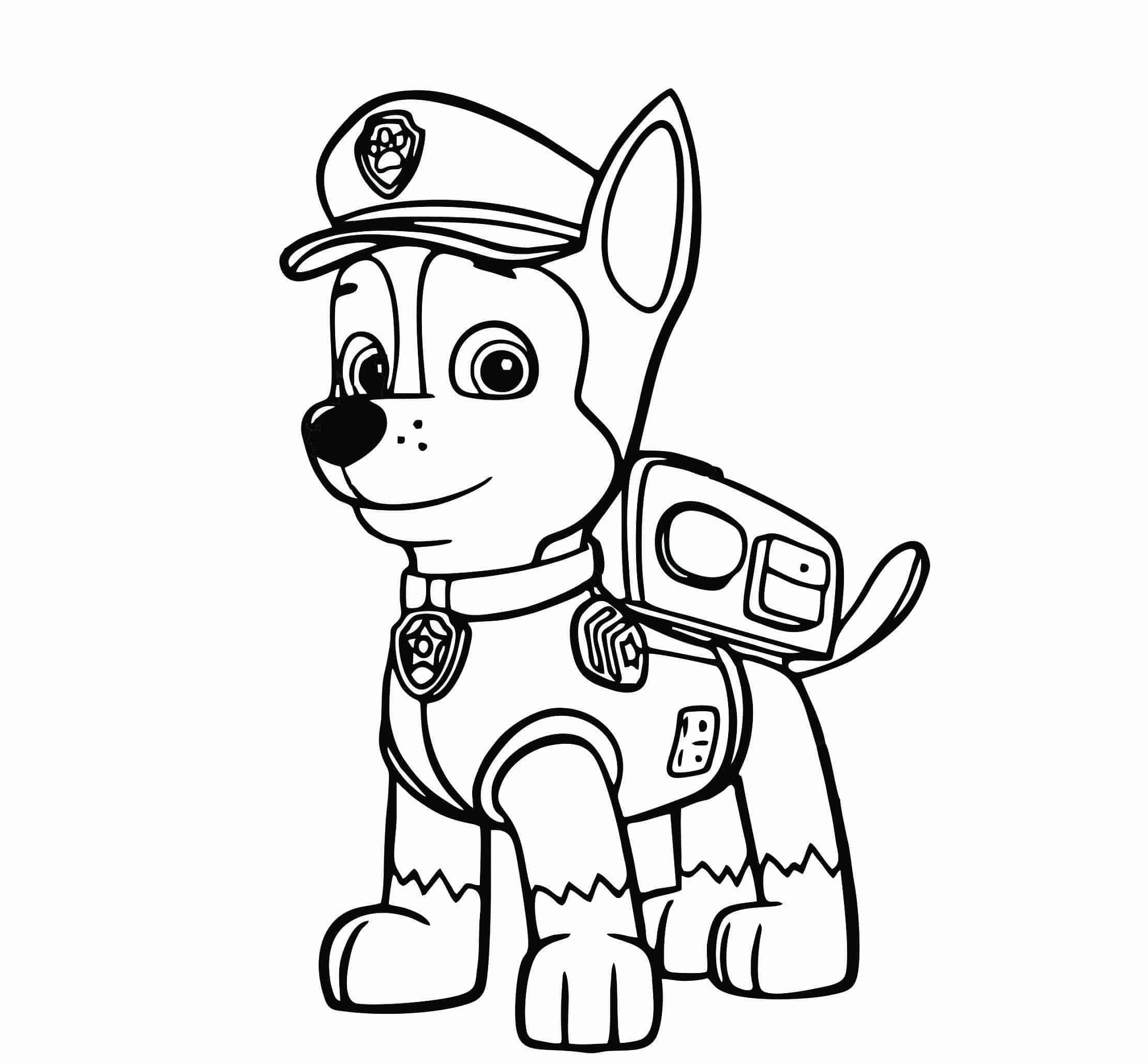 patrulha canina colorir chase