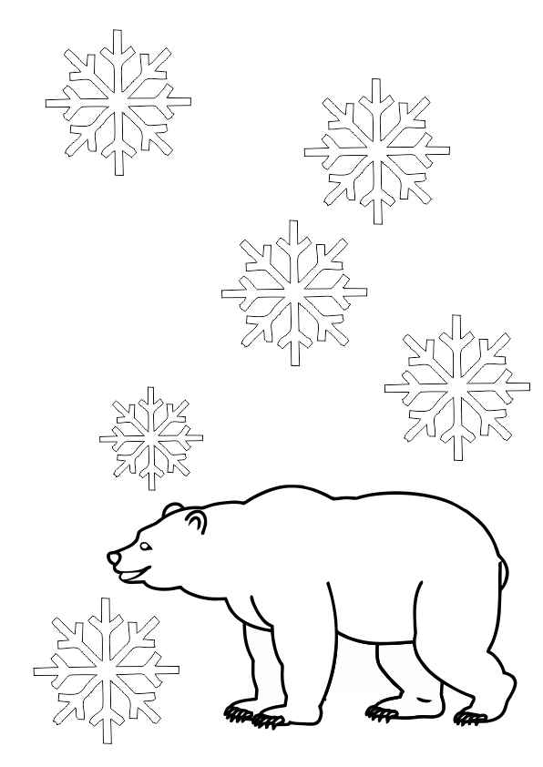urso polar para pintar