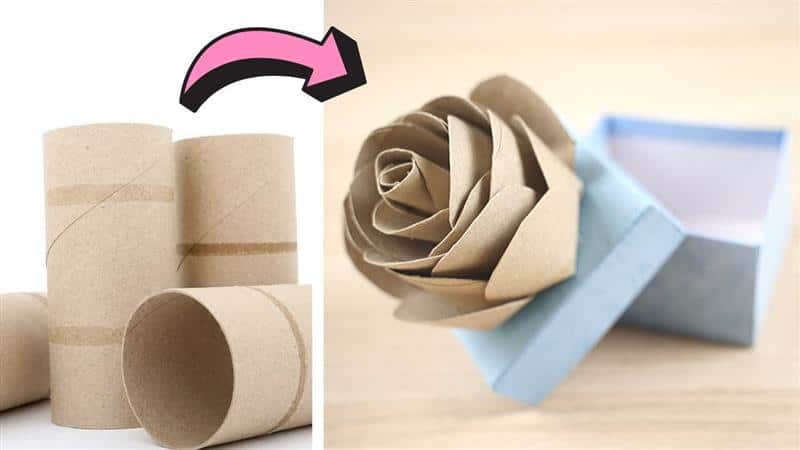 rosa de rolo de papel higiênico