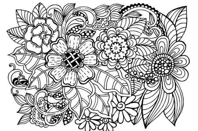 75 Desenhos para colorir Pintar para adulto, lindos desenhos para relaxar  75 folhas A5 Arteterapia