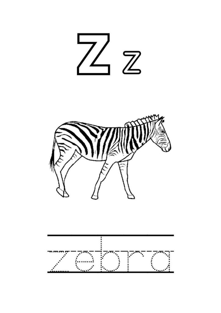 letra z com desenho de zebra