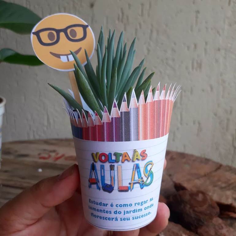 Suculenta decorada de volta às aulas