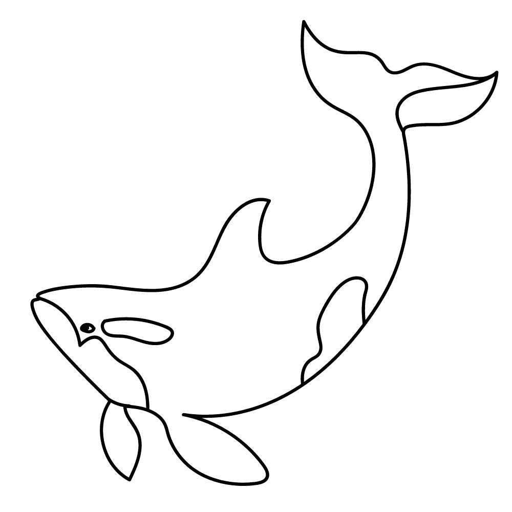 desenho baleia orca para imprimir