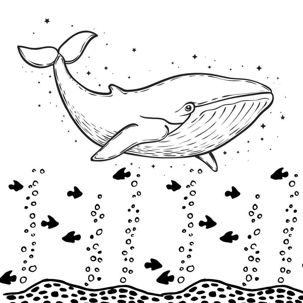 desenho de baleia fofa