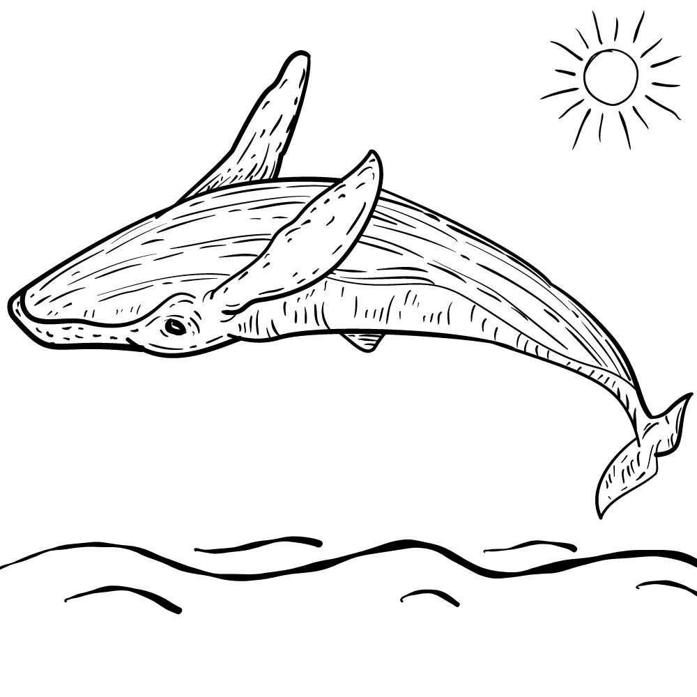 desenho de baleia azul